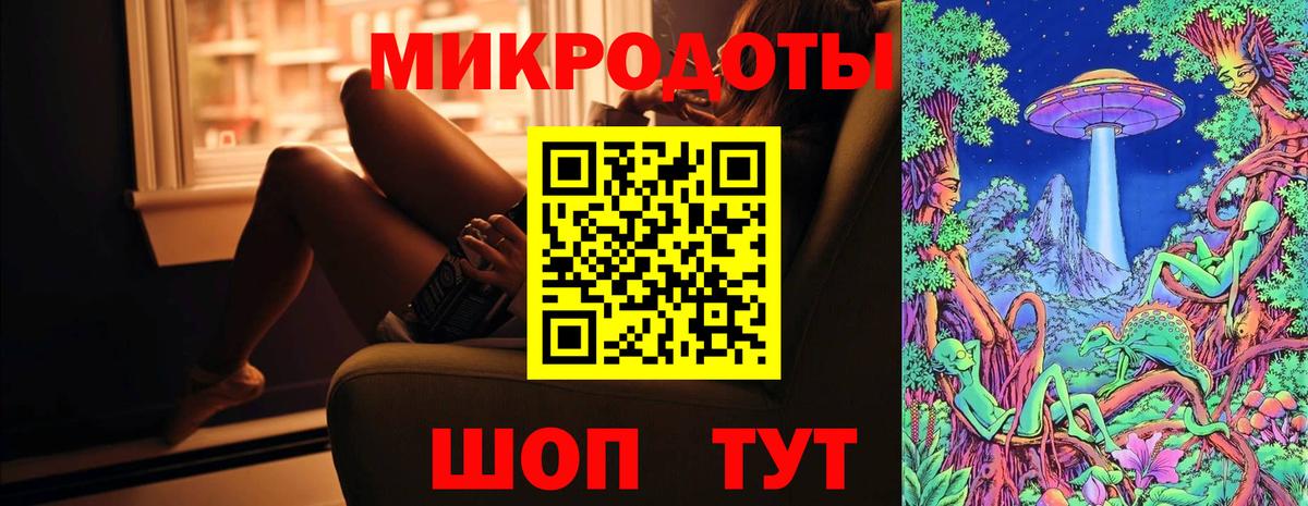 Псилоцибиновые грибы Psilocybe Рязань