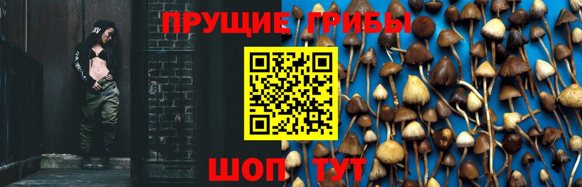 Псилоцибиновые грибы MAGIC MUSHROOMS  Вход с VPN  Рязань 